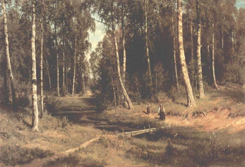 Ivan Shishkin Brook in a Birch Grove oil painting image